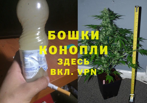 spice Алексеевка