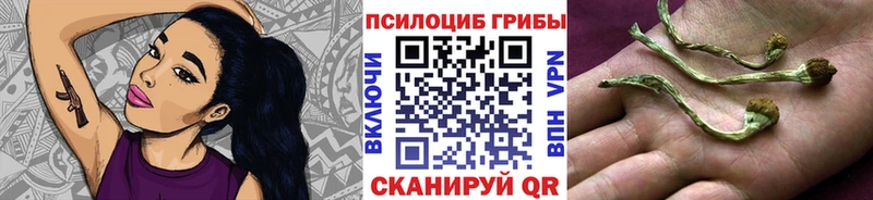 Галлюциногенные грибы Magic Shrooms Апрелевка