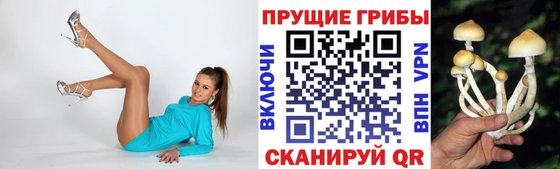 Псилоцибиновые грибы Cubensis Апрелевка